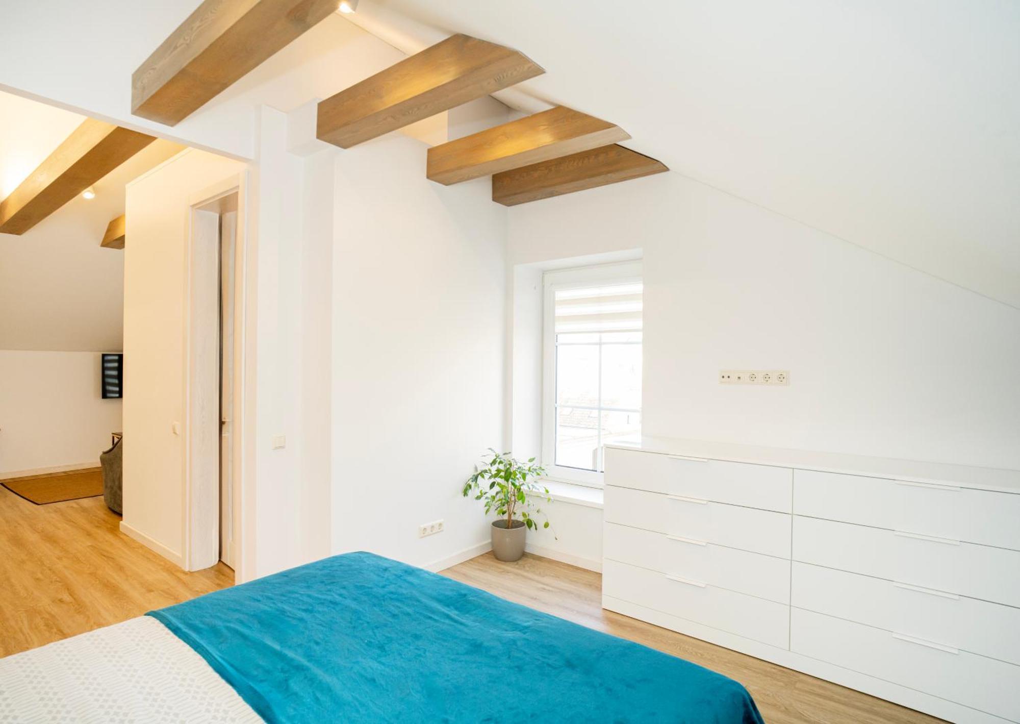 Kaunas Castle Apartments - Studio ภายนอก รูปภาพ